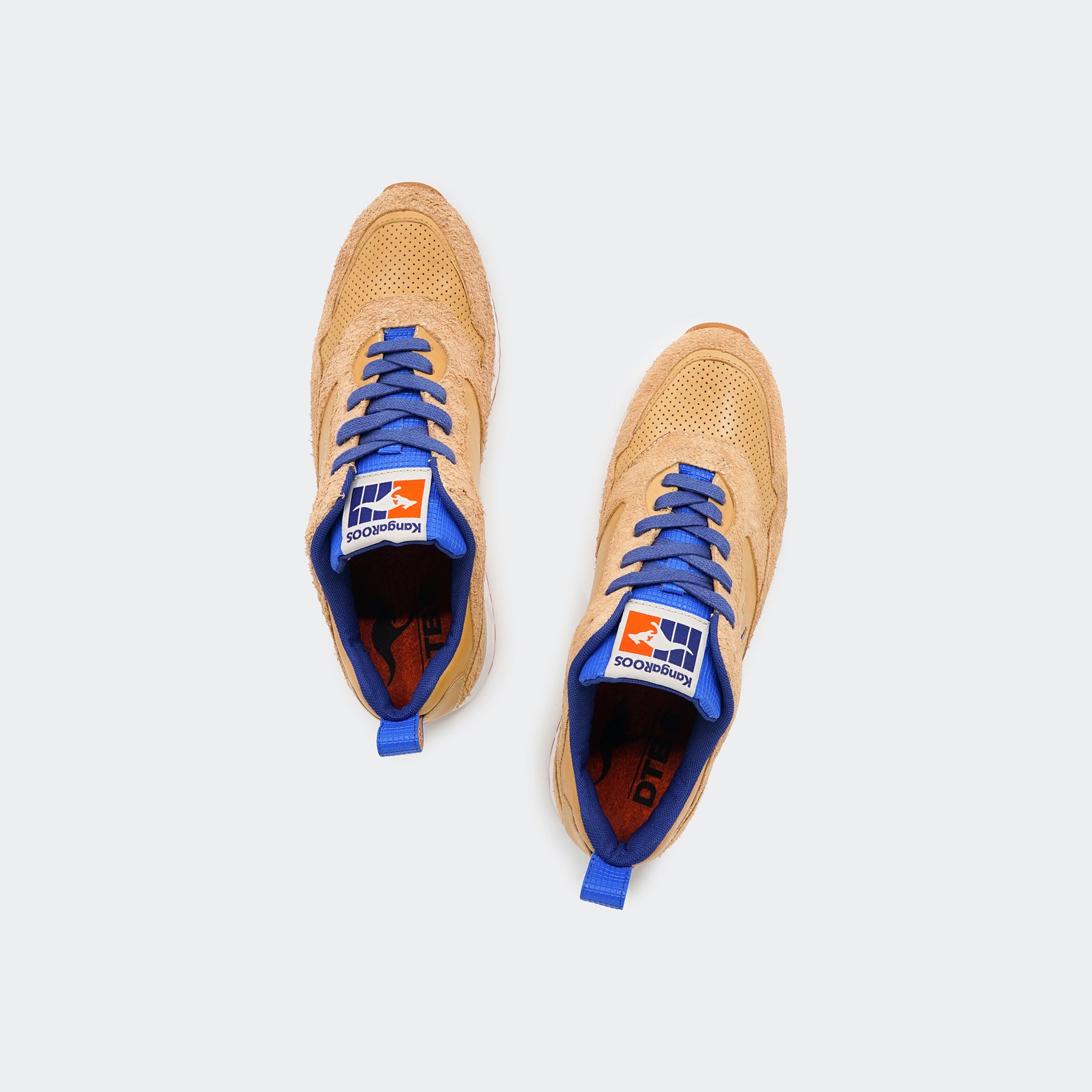 KangaROOS x DTB