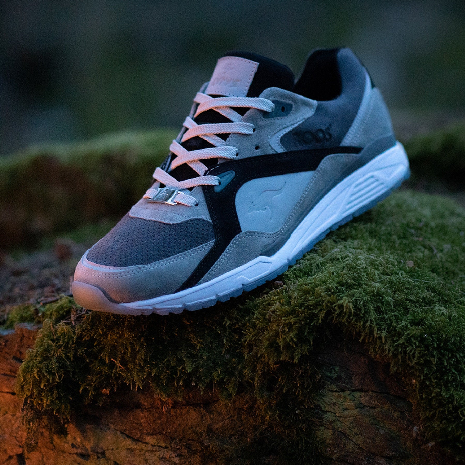 KangaROOS x 43einhalb "Lupus"