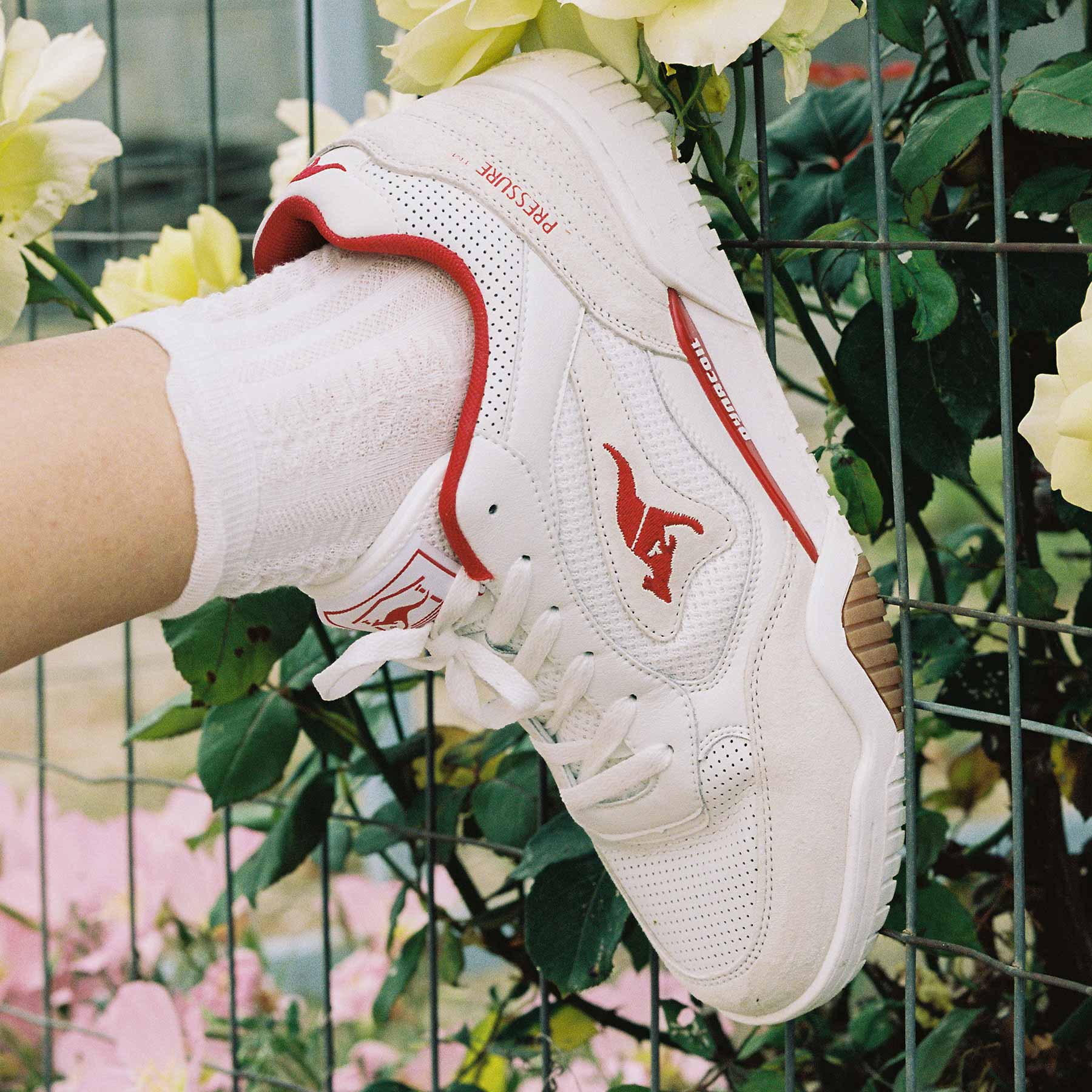 KangaROOS x PRESSURE “Ferrari”