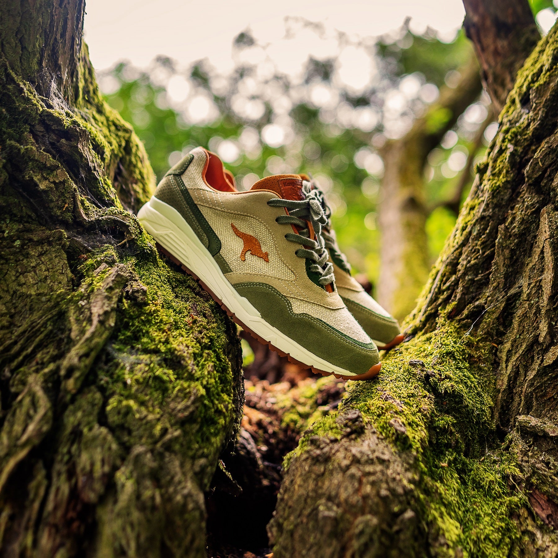KangaROOS x Environment Day