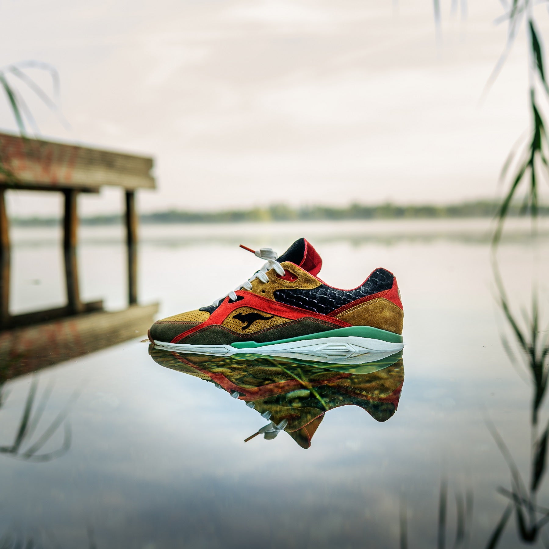 ROOS United "Rainbow Trout"