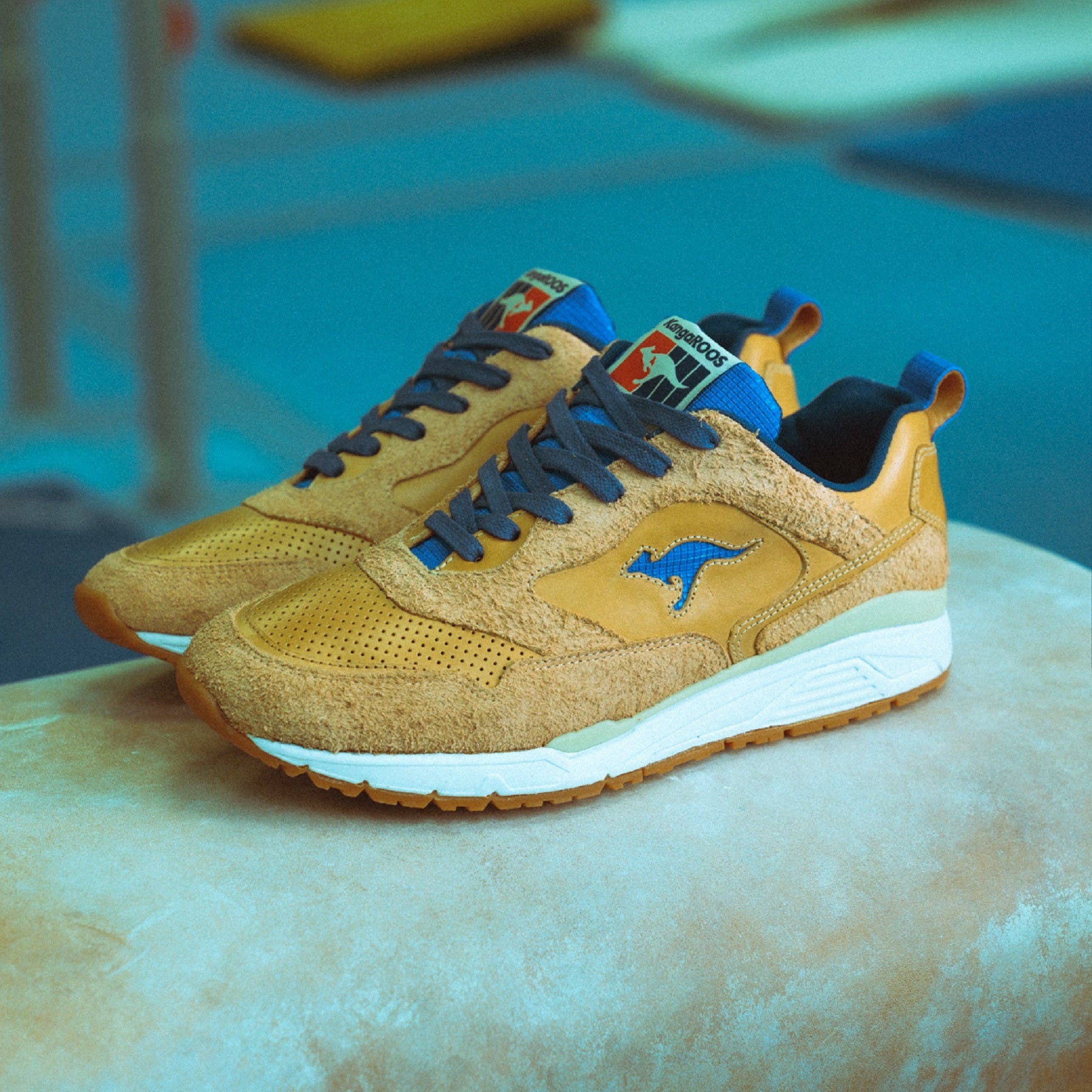 KangaROOS x DTB